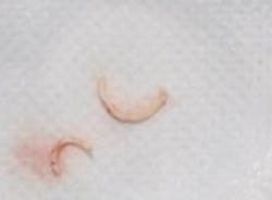 18feb8piaclintip05rev 18feb8piaclintip05rev