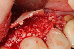 18jul12piasummerford01 18jul12piasummerford01