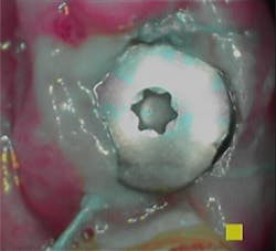 18nov8piawingrove01c 18nov8piawingrove01c