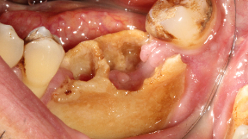 Content Dam Diq Online Articles 2016 09 16sept15piadipace T