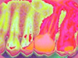 Content Dam Diq Online Articles 2012 November Retreatdibernardotoskos Content Dam Diq Online Articles 2012 November Retreatdibernardotoskos