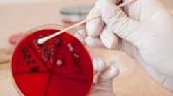 Content Dam Diq Online Articles 2015 02 Bacteria Enterococcus Faecalis Dreamstime Article Thumbnail Content Dam Diq Online Articles 2015 02 Bacteria Enterococcus Faecalis Dreamstime Article Thumbnail