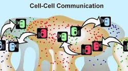 Content Dam Diq Online Articles 2016 06 16jun16piakellert Content Dam Diq Online Articles 2016 06 16jun16piakellert