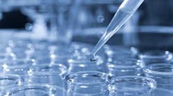 Content Dam Diq Online Articles 2016 06 16jun16pianagelbergt Content Dam Diq Online Articles 2016 06 16jun16pianagelbergt