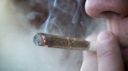 Content Dam Diq Online Articles 2016 10 Marijuana Joint Thumb Content Dam Diq Online Articles 2016 10 Marijuana Joint Thumb