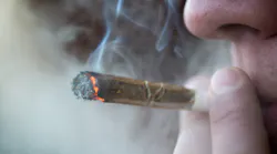 Content Dam Diq Online Articles 2016 10 Marijuana Joint Thumb Content Dam Diq Online Articles 2016 10 Marijuana Joint Thumb