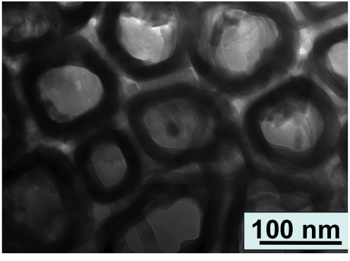 Nasseo nanotube implant technology
