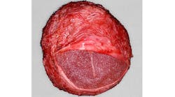 Content Dam Sr Online Articles 2019 05 19may9piaclintipt Content Dam Sr Online Articles 2019 05 19may9piaclintipt