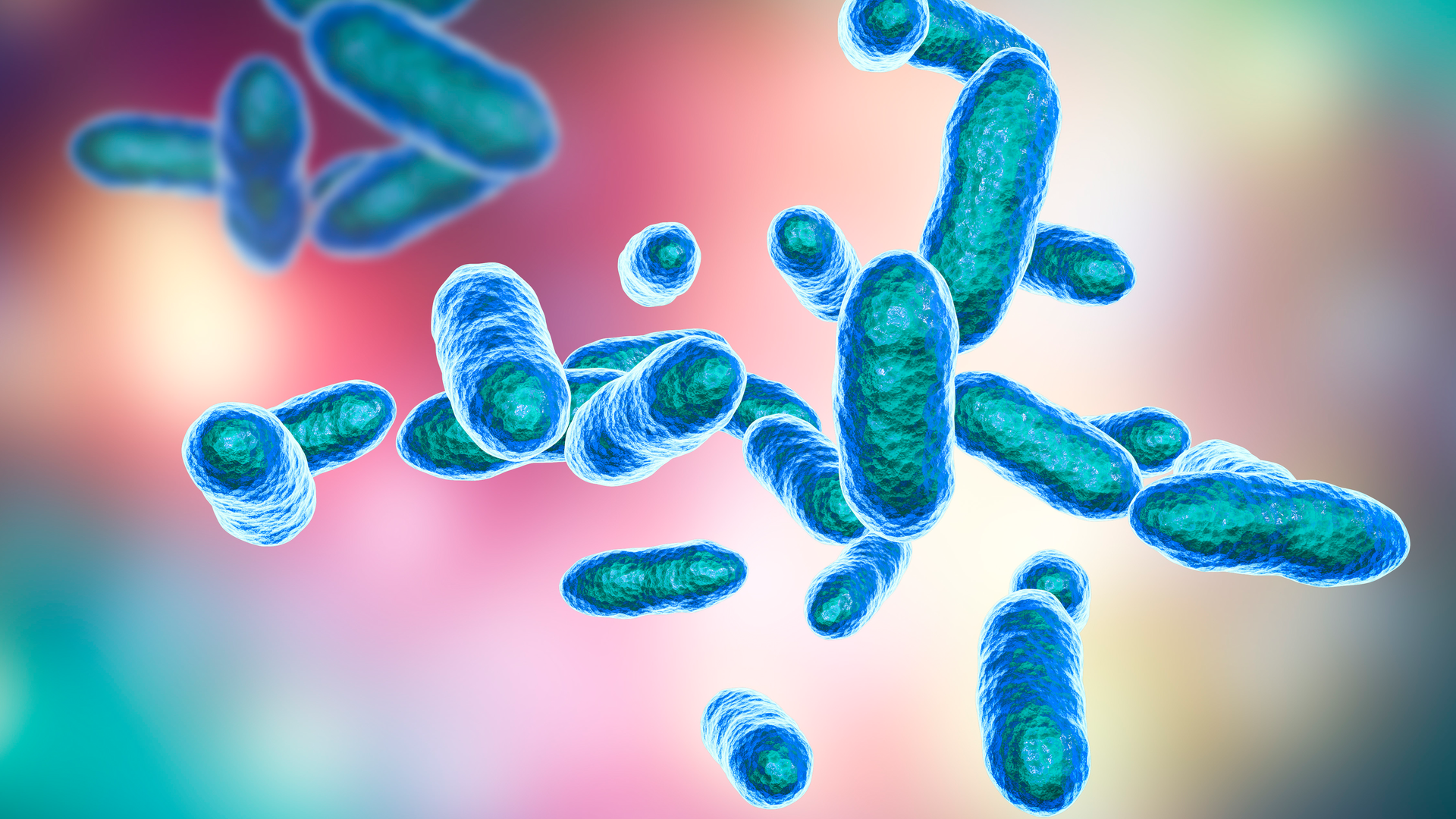 Blog43nagelberg Primary