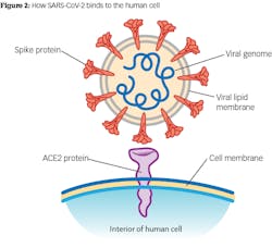 200409 Pi Aaer Z02 200409 Pi Aaer Z02