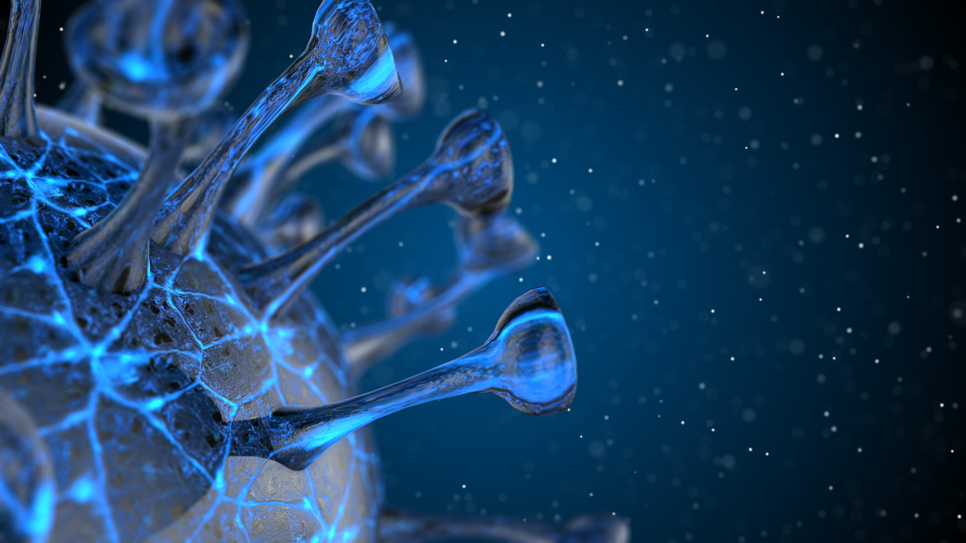 Copyright Mikiell Dreamstime Covid 19