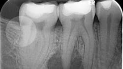 20 Jul9 Pi Ajohnson Primary 5f0360639c3d7 20 Jul9 Pi Ajohnson Primary 5f0360639c3d7