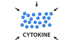 Cytokines Primary 5f05e0f49a045 Cytokines Primary 5f05e0f49a045