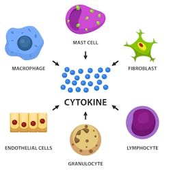 Figure 1: Normal communication between cells via cytokine signaling can lead to injury if this mechanism goes awry.