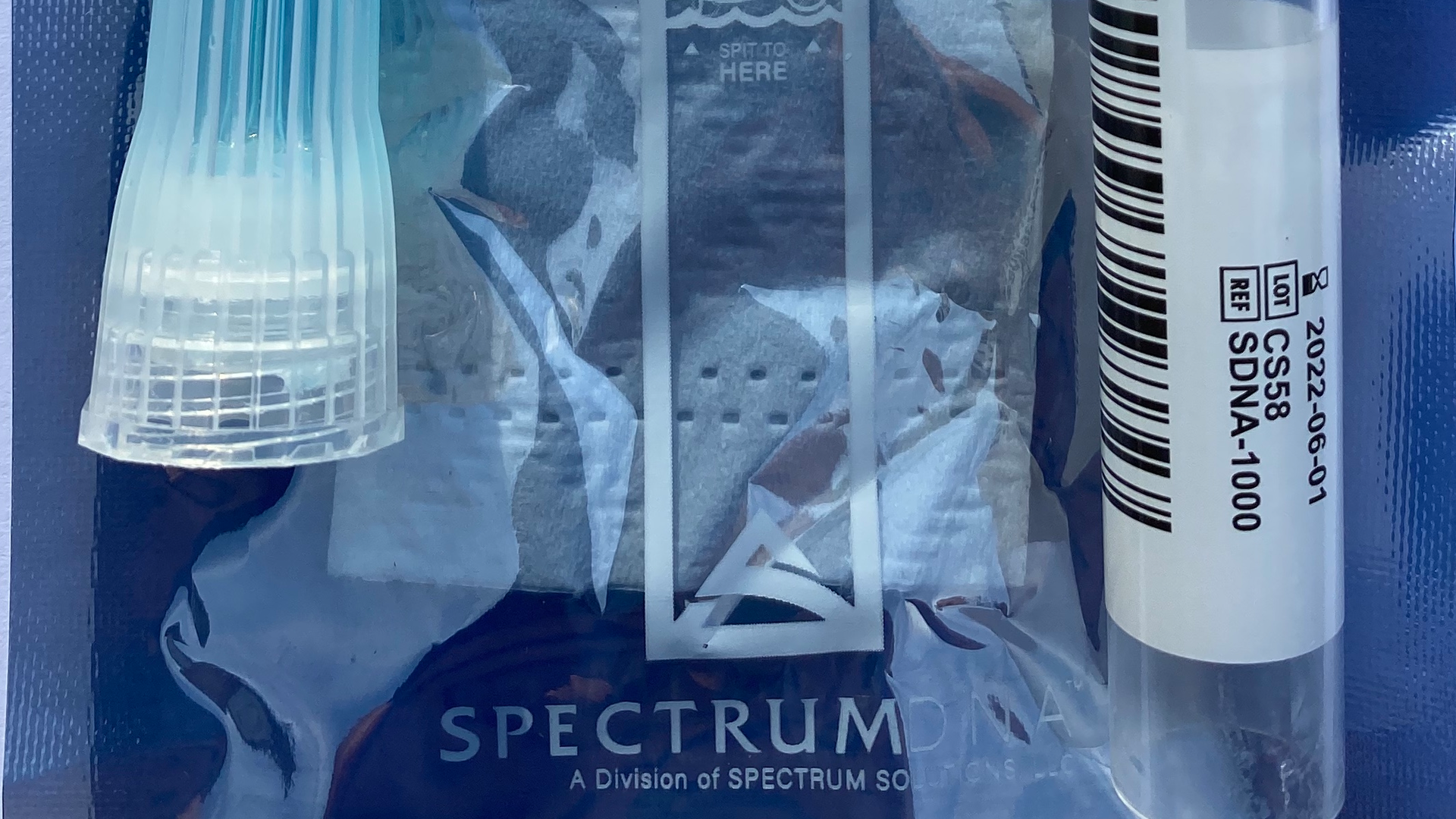 20 Sep10 Pi Asalivatest Froum01 5f58d7305a5d0