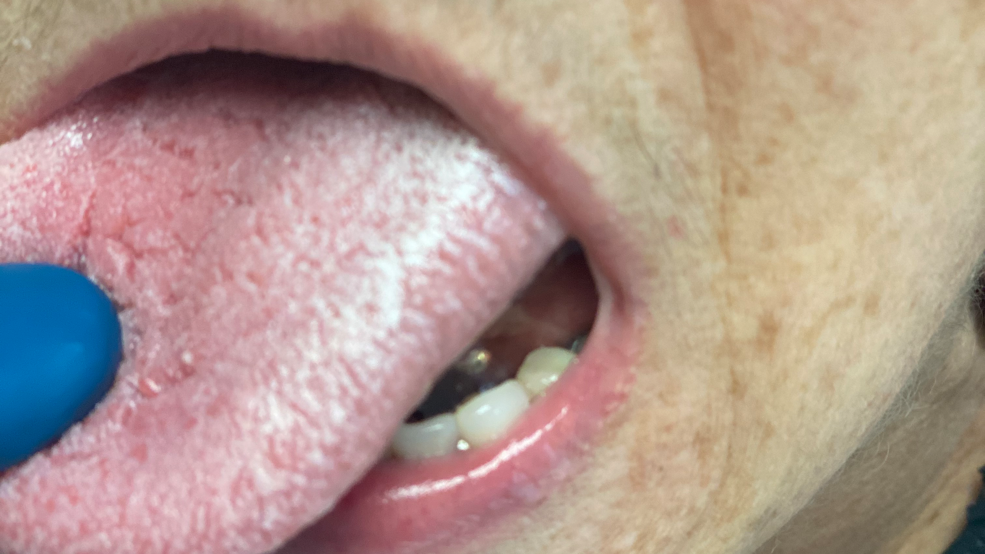 Figure2 Img 4928 Rot 601c68d6ae36b