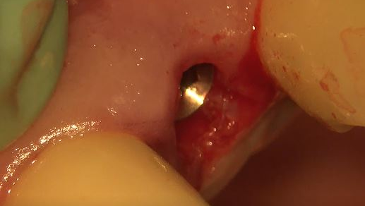 Miller Fig3 60b7ec94ced3a