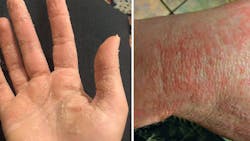 Figure1 60e483833e380 Figure1 60e483833e380