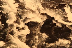 Figure 2: Bacterial rods found in a subgingival biofilm can occasionally be present in the adjacent cementum. This scanning electron photomicrograph was taken just beneath the cemental surface that appeared intact without magnification. Figure 2: Bacterial rods found in a subgingival biofilm can occasionally be present in the adjacent cementum. This scanning electron photomicrograph was taken just beneath the cemental surface that appeared intact without magnification.