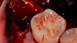 Primary 61a92af209527 Primary 61a92af209527