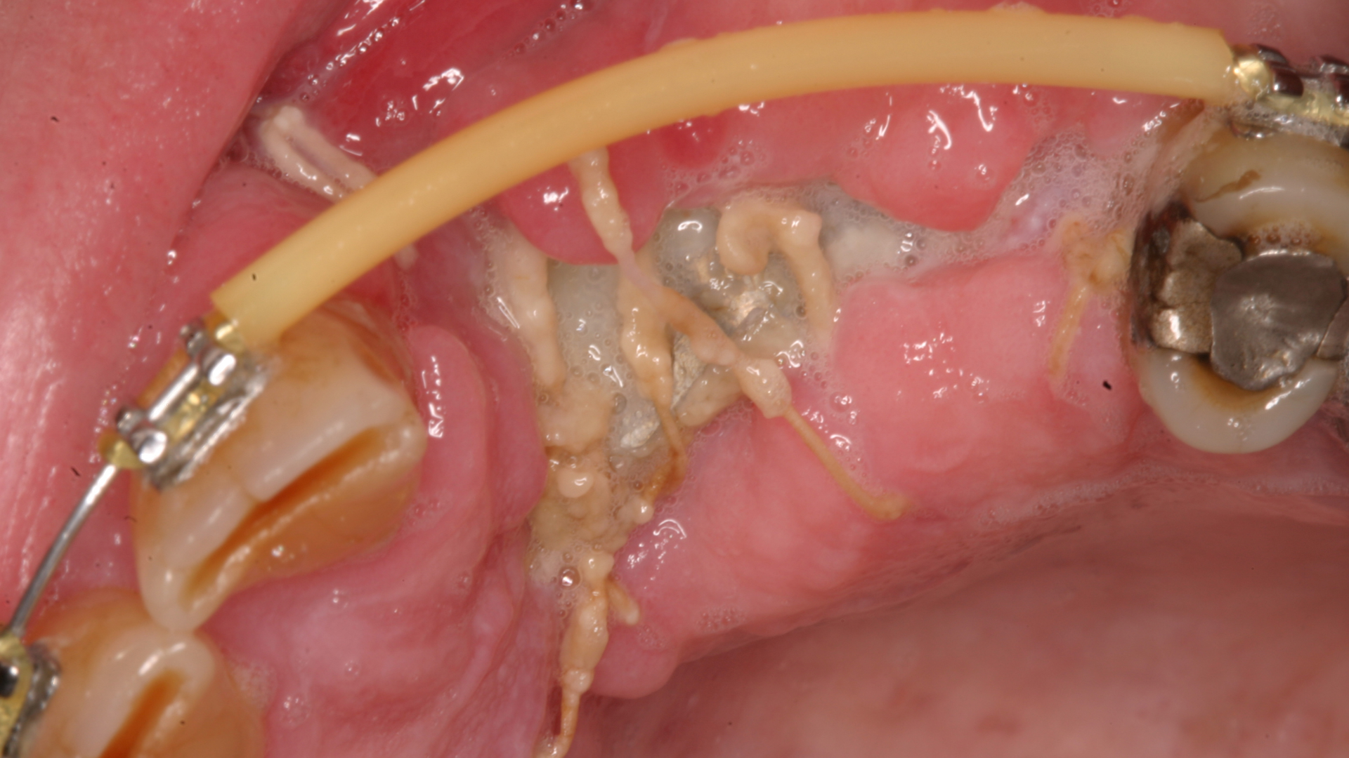 Figure 2 63bc6a4345159