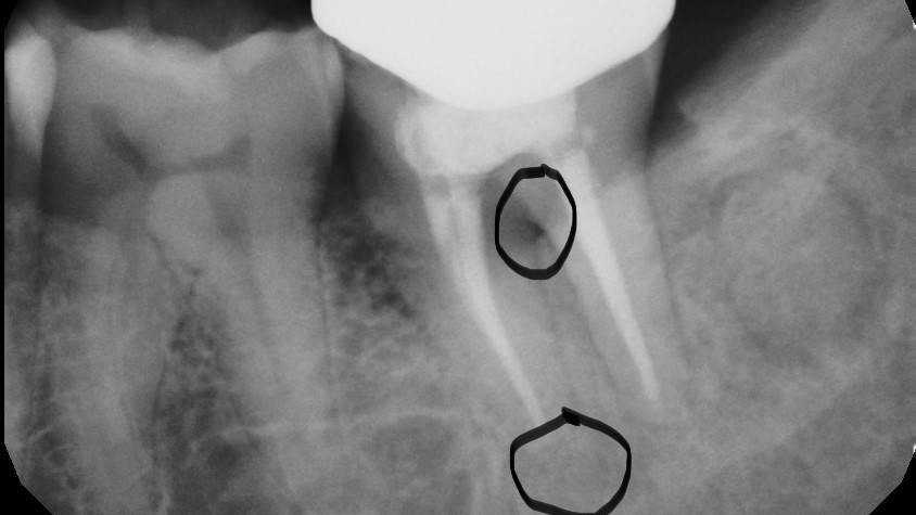 Primary 643858d4072ab