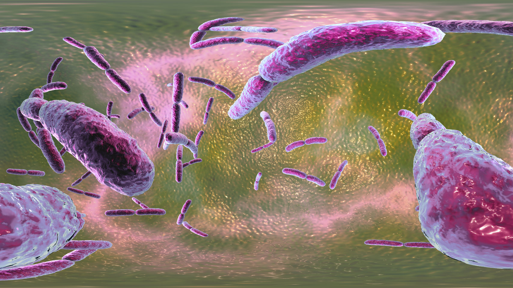 Dreamstime Xxl 143788618