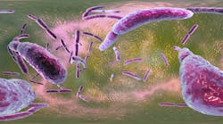 Dreamstime Xxl 143788618 Dreamstime Xxl 143788618