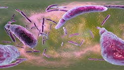 Dreamstime Xxl 143788618 645955b7891bc Dreamstime Xxl 143788618 645955b7891bc