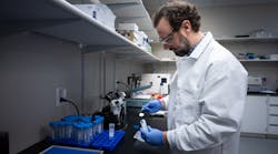 Primary Alvarez Primary Alvarez