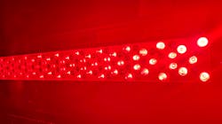 Red Light Primary 64ac5bf2758c1 Red Light Primary 64ac5bf2758c1