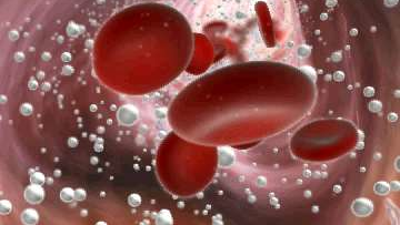 Figure5 64cacccf234b1