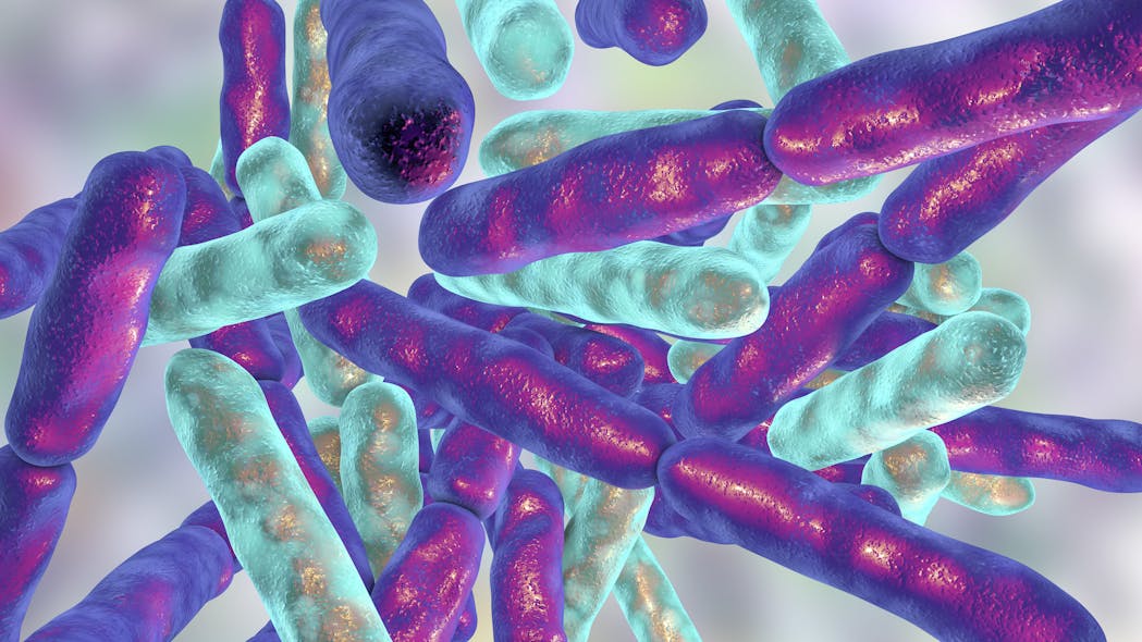 Probiotic bacteria Bifidobacterium