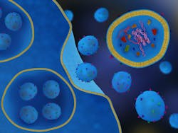 exosomes and regenerative therapies in dentistry exosomes and regenerative therapies in dentistry