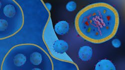 exosomes and regenerative therapies in dentistry exosomes and regenerative therapies in dentistry