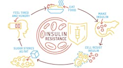 diagram of insulin resistance diagram of insulin resistance