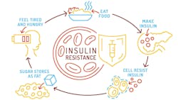 diagram of insulin resistance diagram of insulin resistance