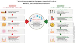 Figure 3: Proposed mechanism between obesity, fitness, and periodontal disease