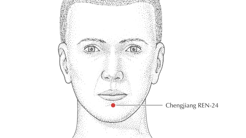 illustration of a man's head with Ren-24 (Chengjiang) area noted