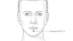 illustration of a man's head with Ren-24 (Chengjiang) area noted