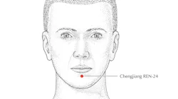 illustration of a man's head with Ren-24 (Chengjiang) area noted