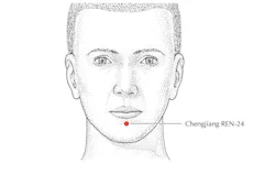 illustration of a man's head with the Ren-24 (Chengjiang) area noted